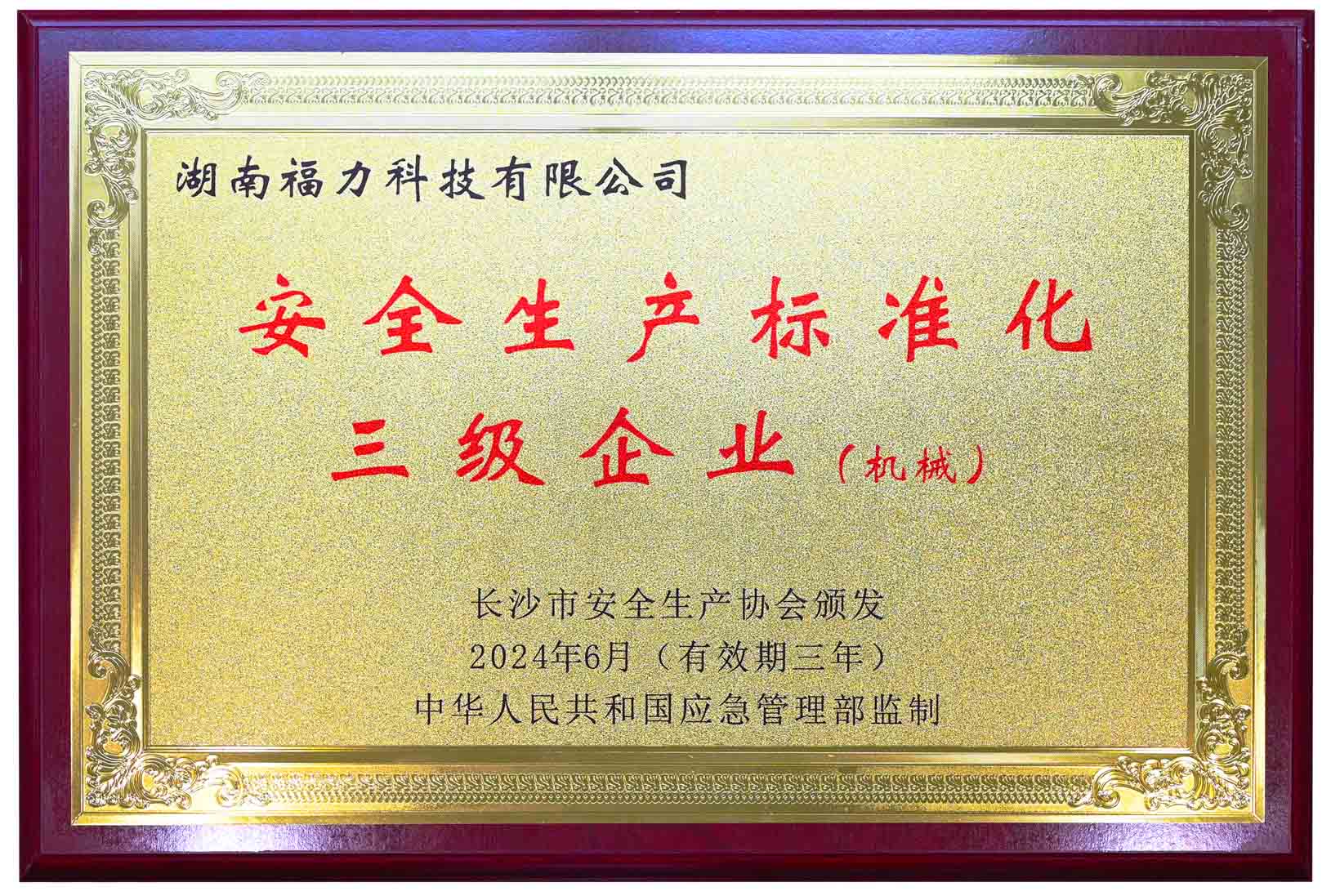 安全生產標準化三級企業（機械）